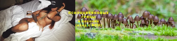 альфа пвп VHQ Дмитриев